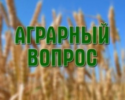 Михаил Болсуновский в передаче «Аграрный вопрос»