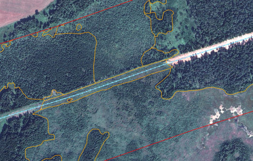 Заболоченные участки (низинное болото, естественное заболачивание и заболоченный лес) в буферной зоне магистрального газопровода